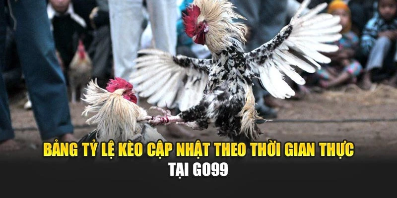 Bảng tỷ lệ kèo cập nhật theo thời gian thực tại GO99