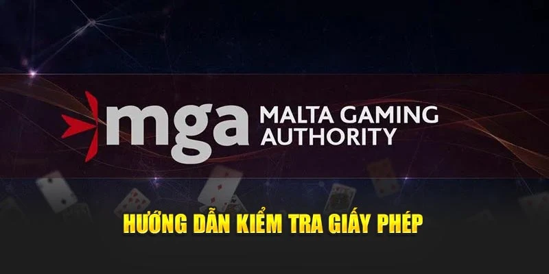 Hướng dẫn kiểm tra giấy phép