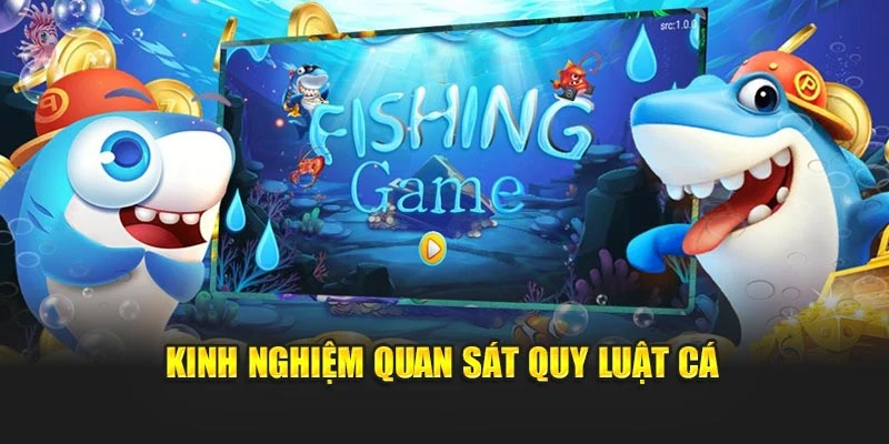 Kinh nghiệm quan sát quy luật cá